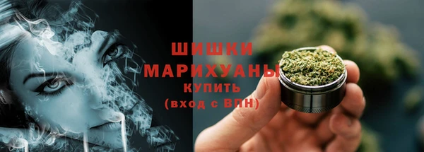 крисы Майский
