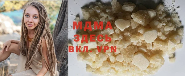 индика Магас