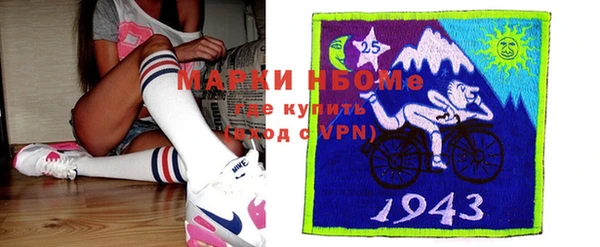 индика Магас