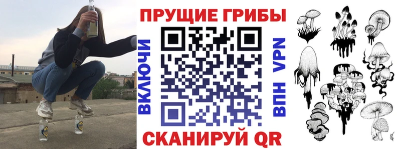 MEGA зеркало  Нижний Тагил  Псилоцибиновые грибы Cubensis 